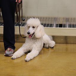 photograph by PeterW